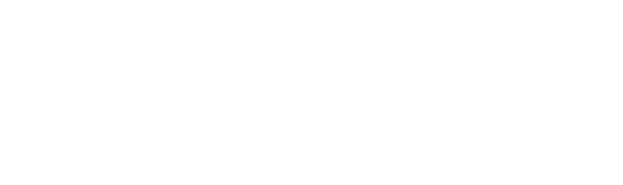 B2R LOGO WHITE